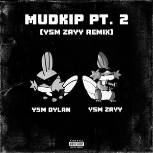 Mudkip, Pt. 2 (YSM Zayy Version) [Explicit]