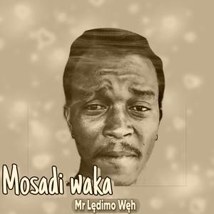 Mosadi waka (Sped up Version)