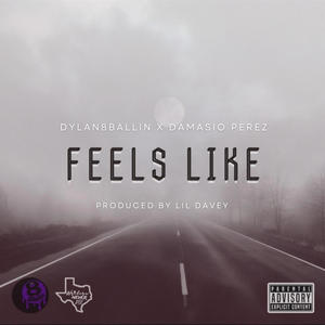 Feels Like (feat. Damasio Perez) [Explicit]