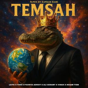 Temsah (feat. Behzad Leito, Tiem, Pouriya Adroit, Ali Geramy, Vinak & HesamTiem) (Remix|Explicit)