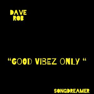 Good Vibez Only (feat. SongDreamer)