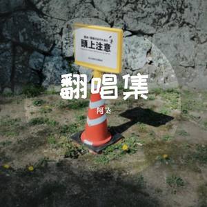 惊雷抒情版cover—皮卡丘多多