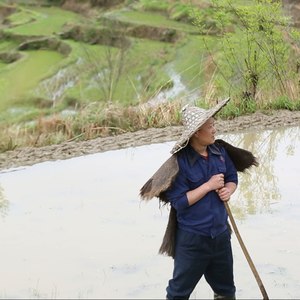 大山里的百姓