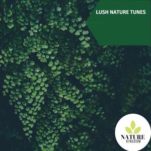 Lush Nature Tunes