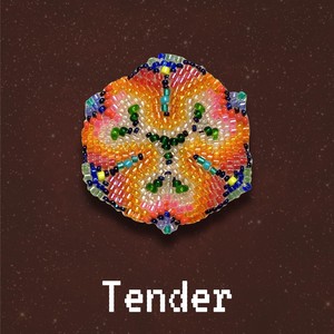 Tender (feat. 10.4 Rog, Erik Blood, Mary Riles & Alex Westcoat)