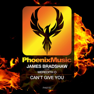 Can't Give You (Edit)