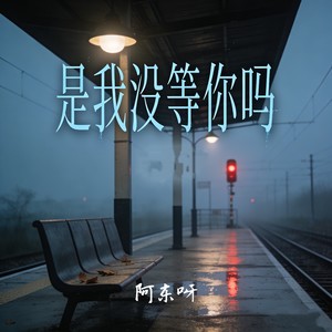 是我没等你吗