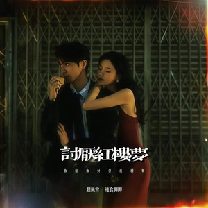 讨厌红楼梦 (你说你讨厌红楼梦)