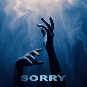 Sorry (Explicit)