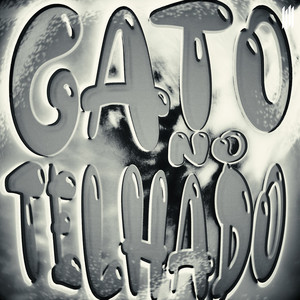 GATO NO TELHADO (ULTRA SLOWED)