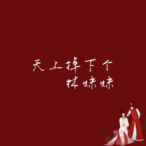 天上掉下个林妹妹 (男女合唱版！)