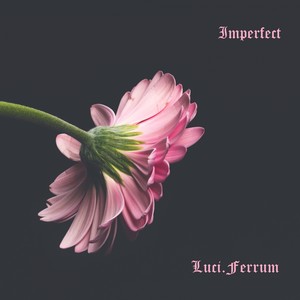 Imperfect