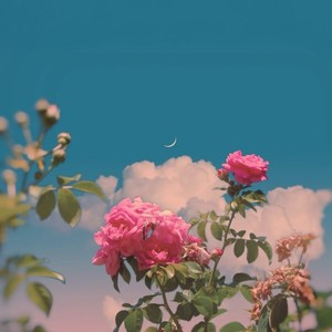 靠近一点点（R&B）封面