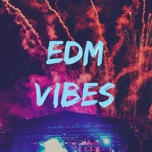 EDM Vibes (Explicit)