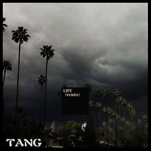 LIFE (Remix)