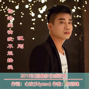 你的爱情我不能接受 (DJ何鹏 Remix)