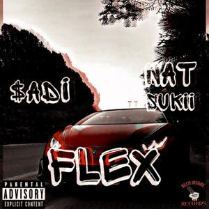 Flex (feat. Nat Sukii) [Explicit]