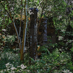 Sakale(feat. Bert Cools, Indrė Jurgelevičiūtė, Jean-Christophe Bonnafous, Jauna Muzika Choir, Shahzad Ismaily, Gyða Valtýsdóttir & Kjartan Sveinsson)