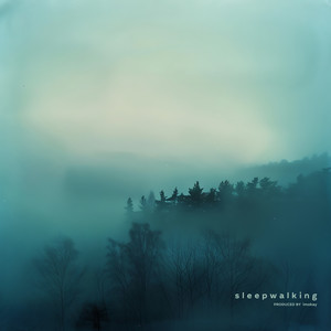 sleepwalking