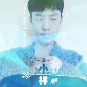 小样