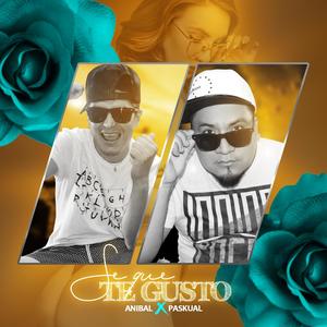 Se Que Te Gusto(feat. Anibal) (Explicit)