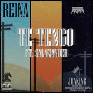 TE TENGO(feat. SALAMANDER) (Explicit)