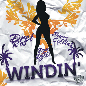 Windin' (Extended Mix By Alin Radu)