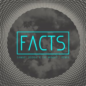 Facts (Remix)