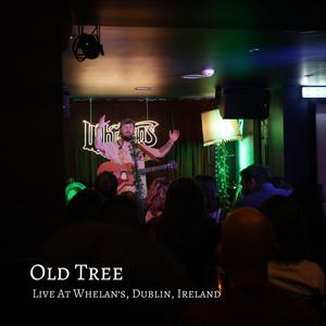 OId Tree (Live)