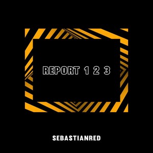 Report 1 2 3