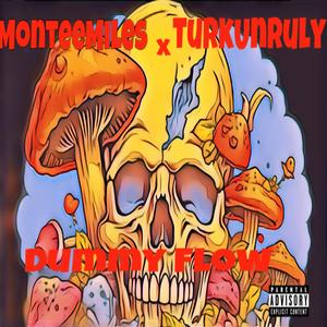 Dummy Flow (feat. TurkUnruly) (Explicit)