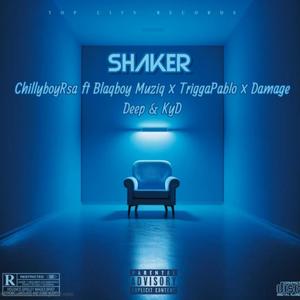 Shaker (feat. Blaqboy Muziq, TriggaPablo, Damage Deep & KyD)