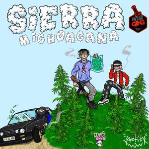 Sierra Michoacana (feat. Wesos El Savage & Pxison)