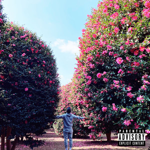 커터칼 (cutter knife) (Explicit)