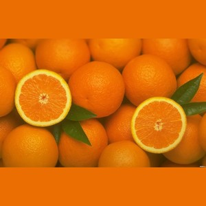 橙子 - 推开世界的门