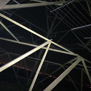 Aura Of The Trees (Bonus) (feat. GENES) (Explicit)