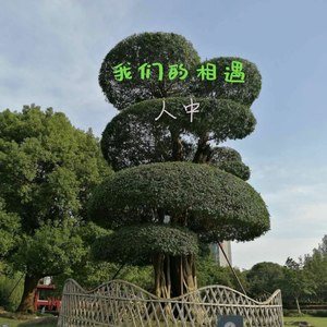 我们的相遇
