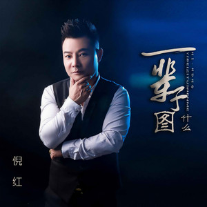 一辈子图什么 (DJ默涵男版)