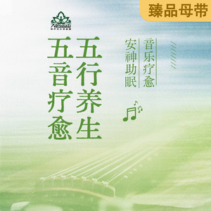 丽声文化传媒 - 音乐疗愈丨《空即明》羽音入肾丨补充元气，缓解疲劳