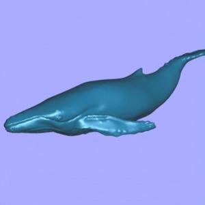 low poly whale song