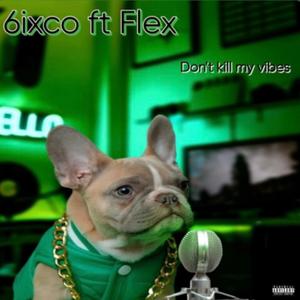 Don’t kill my vibes (feat. Flex) (Explicit)