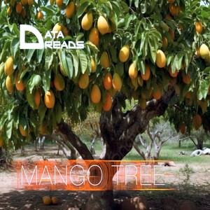 Data Dreads - Mango Tree (Extended Version)