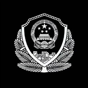 一无所有的年纪 (赵云伟 remix)