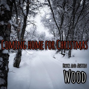 Coming Home for Christmas