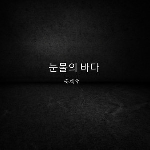 눈물의 바다 (安瑞兮版)