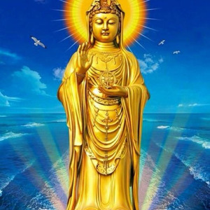 《菩提本无树》.佛曲大家一起唱(life)(佛歌）（念佛 三宝歌）