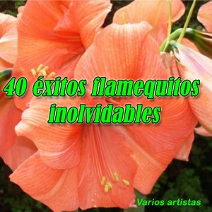 40 éxitos Flamenquitos Inolvidables