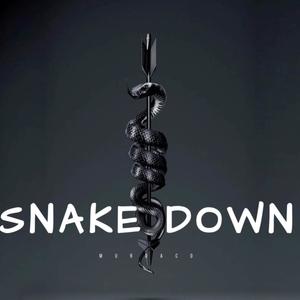 Snake Down (Explicit)