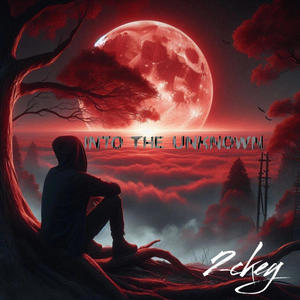 No Chorus (feat. 1truzacc) (Remix|Explicit)