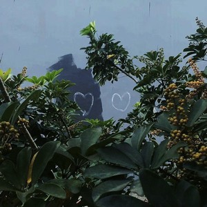 林俊杰 - 你啊你啊 (0.8x|Single Version|Akpar-Mamat0.8x版)